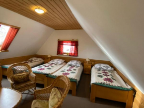 Отель Domki Camping Harenda  Закопане